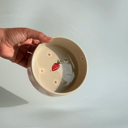 Ceramic Breakfast Bowl Combo (Buy 4 for price of 3)